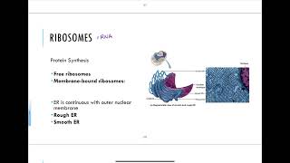 37  Cytoplasmic Organelles [upl. by Ireg]