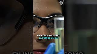 Paradas en las Plantas Industriales  Los STO La clave de una producción sin interrupciones [upl. by Aneetsirk]