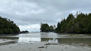 Tofino  Tofino cabin vlog  day 3 [upl. by Ahseim469]