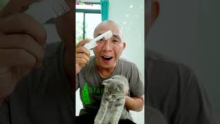 BiBoBen Family  Cute cat needs your care 🥰🥰🥰 [upl. by Ahsenauq74]