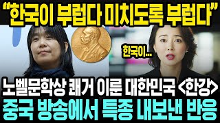 중국반응  한강 노벨문학상을 특종으로 내보낸 해외 반응  중국과 한국 문학의 차이점  SNS에서 난리난 어느 글  한국 문학 특징 [upl. by Nagaek]