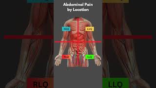 Understand Abdominal Pain in Under a Minute health [upl. by Magas116]