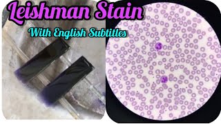 Leishman Stain ProcedurePBS Blood Smear PreparationHaematologyDLC Count themedilab [upl. by Anolahs234]