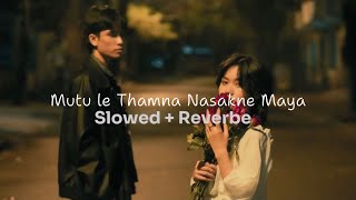 Mutu Le Thamna Nasakne Maya  Slowed amp Reverbe [upl. by Erdreid687]