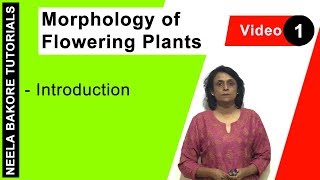 Morphology of Flowering Plants  NEET  Introduction  Neela Bakore Tutorials [upl. by Sehguh]