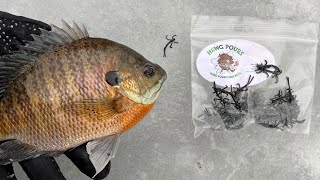 Are PLASTICS better than LIVE BAIT for Ice Fishing BIG BLUEGILLS [upl. by Der]