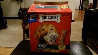 Milk Bone 10LB Large Dog Biscuits Review [upl. by Eldwin716]