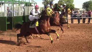 Carreras de Caballos en El Hipódromo de Rayón 14 de Abril 2017 [upl. by Carola]