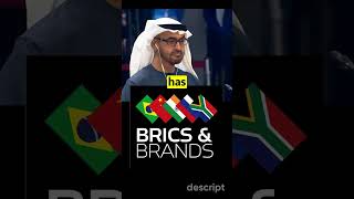 BRICS amp Brands [upl. by Irakuy]