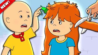 Rosies Haircut  Caillou Cartoon [upl. by Ennagem]