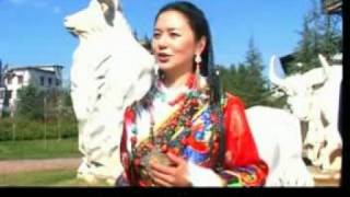 Tibetan Song Dahog gi Rolyang Yangchen Lhamo [upl. by Aynat587]