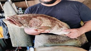 Hamour fish cutting 💥 power fish cutting fish cutting video viral fish cutting video 🦐 [upl. by Proud355]