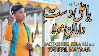 Ya Ali as Dast e Daman e Mola  Balti Qasida Mola Ali as  Eid e Ghadeer 2024  Zaheer Nayaab [upl. by Jahdol]