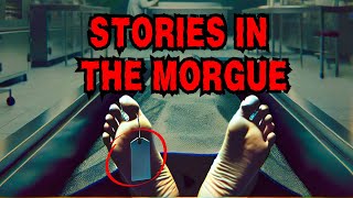 5 Accounts in the Morgue Dark Secrets That Should Never Be Revealed  Horror Stories [upl. by Onirefes]