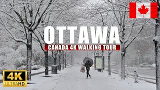 Ottawa Canada Winter Dec 2024 First Snow 4K Walking tour [upl. by Tsirhc]