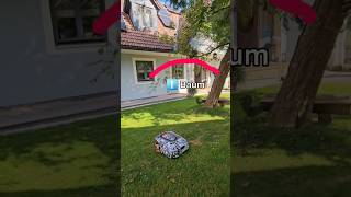 Mähroboter GPS Test unter schwierigen Bedingungen  was ist möglich unter Bäumen Roboschaf Test [upl. by Emilio]