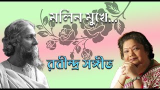 Molin Mukhe  Audio Graphic Song  Srabani Sen  Khelaghar  মলিন মুখে  Echo Rabindra Sangeet [upl. by Hadwyn375]