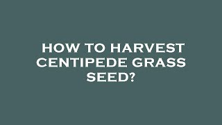 How to harvest centipede grass seed [upl. by Verneuil]