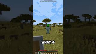 minecraft meme [upl. by Silloc]