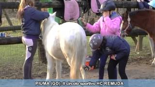 SPECIALE BIMBI A CAVALLO A GORIZIA [upl. by Alburga]