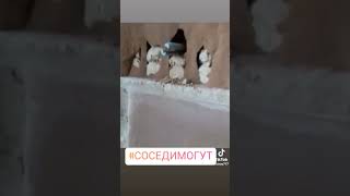 Фирма веников не вяжет 🤣 юмор кирпич топ плитка кино мастерская фильм мастер фильмы [upl. by Tarttan85]