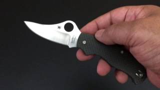 Spyderco TMag The Knife of the Day [upl. by Esalb]