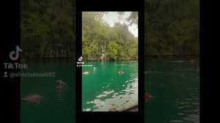 kayangan Lake Coron Palawan [upl. by Folger]