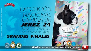 Exposiciones Nacional e Internacional Canina  Jerez 2024 [upl. by Idur]