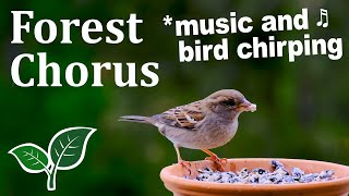 Forest Chorus features Chirping and Music For Stress relief refreshment improved sleep quality [upl. by Mallin]