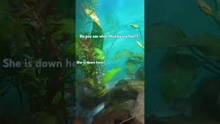 The Apistos got it done FAST fishtales fishtank funny fishfam fishbreeding shorts subscribe [upl. by Nylrad386]