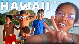 Landing in Hawaii 🌺 Swimming in Paradise  The Beal Family [upl. by Aitel293]