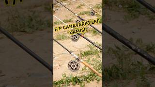 quotFiyatPerformans Canavarı 3 LRF Kamışıquot fishing carpfishing lrf youtubeshortsfishingtips [upl. by Llerryt335]