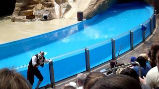 Mime Artist Clyde and Seamore take Pirate Island Seaworld Florida Part Two in HD [upl. by Eittik]