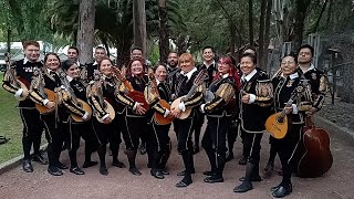 Estudiantina para Ceremonias Religiosas XV Años y mas CDMX [upl. by Sherye]