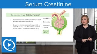 Serum Creatinine – MedSurg  Lecturio Nursing [upl. by Gabriella]