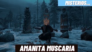 Assassins Creed Valhalla  Misterio Amanita muscaria Rigjafylke Las estatuas [upl. by Aiasi]