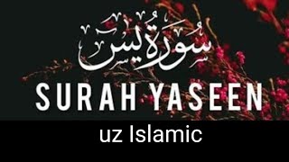 surah yasin full  by qari umar zamin  سوره يس كامله [upl. by Adnuhser85]