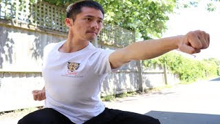 Shaolin Kung Fu Wushu Basic Training Step By Step  Martial Arts for Beginners [upl. by Rockwood]