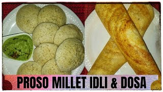 Proso millet idli dosa batter without rice  Pani varagu idli  Millet recipes  Millet idli batter [upl. by Lloyd993]