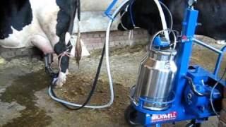 Portable milker by Milkwell To Buy Contact  9416003826  wame919416003826 [upl. by Dielu]