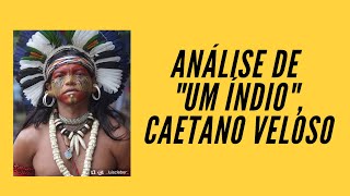 quotUM ÍNDIOquot uma análise e reflexões históricas sobre o DIA DOS POVOS INDÍGENAS 🌳 [upl. by Eterg]