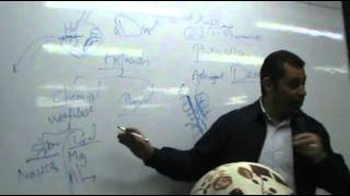 DrAhmed Abd ElRahman  GIT 2  Peptic Ulcer part 1 [upl. by Elbertine]