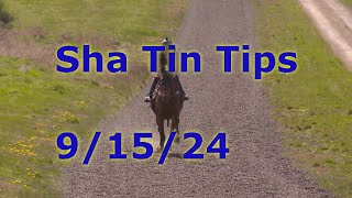 🏇Hong Kong Horse Racing Tips 9152024  Sha Tin [upl. by Sewel]