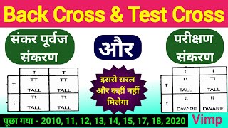 back cross and test cross with example  back cross and test cross diagram Class 12 biology up board [upl. by Fadas]