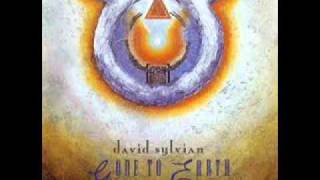 David Sylvian Gone To Earth [upl. by Ihcelek]