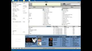 How to Import a CD into iTunes [upl. by Eenobe]