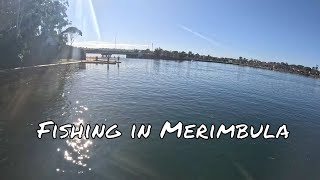 Fishing the Beautiful Merimbula Boardwalk Jetty for 90 Minutes [upl. by Ioves]