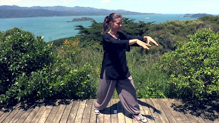 Tai Chi 5 Minutes a Day Module 01  Easy for Beginners  the Wave and Embracing the Moon [upl. by Bigner965]