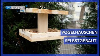 DIY Vogelhäuschen  Ein Vogelhaus schnell selbstgebaut [upl. by Eilyab]