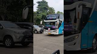 Bus asyrof quotnakulaquot basuri jeger bus busparwis busmania buspariwisata basuri asyrof shorts [upl. by Waki]